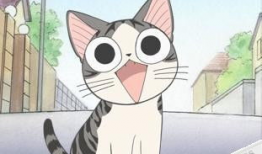 猫动漫,猫界动漫的奇幻冒险之旅